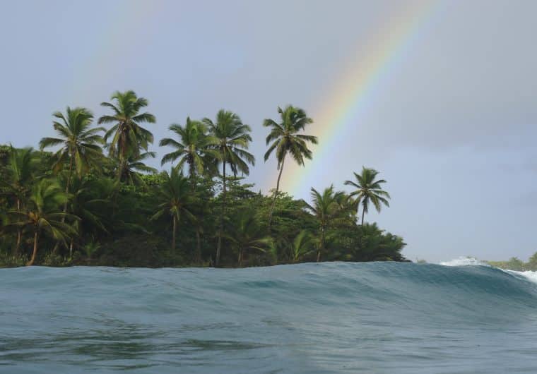 A rainbow arcing over a small, tropical island with palm trees.